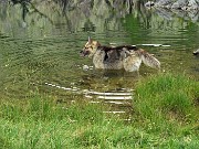 76 Bene, altro laghetto per rin frescarci ancora...